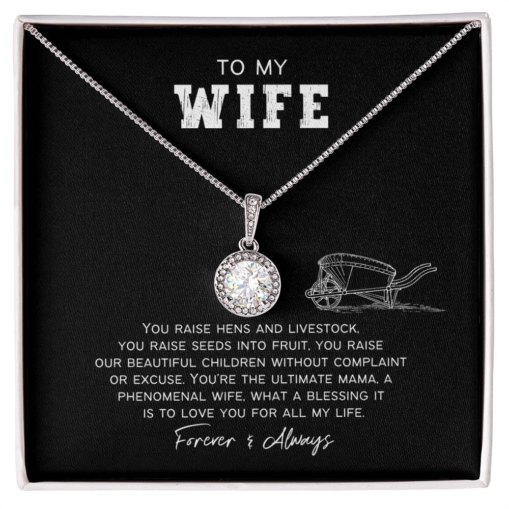 Ultimate Farm Wife Eternal Hope Necklace
